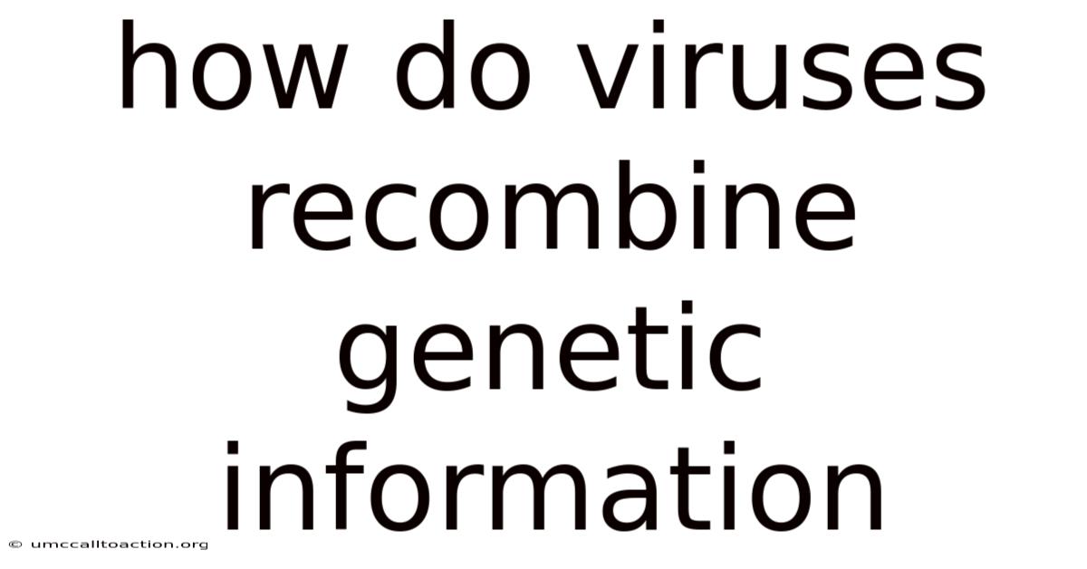 How Do Viruses Recombine Genetic Information