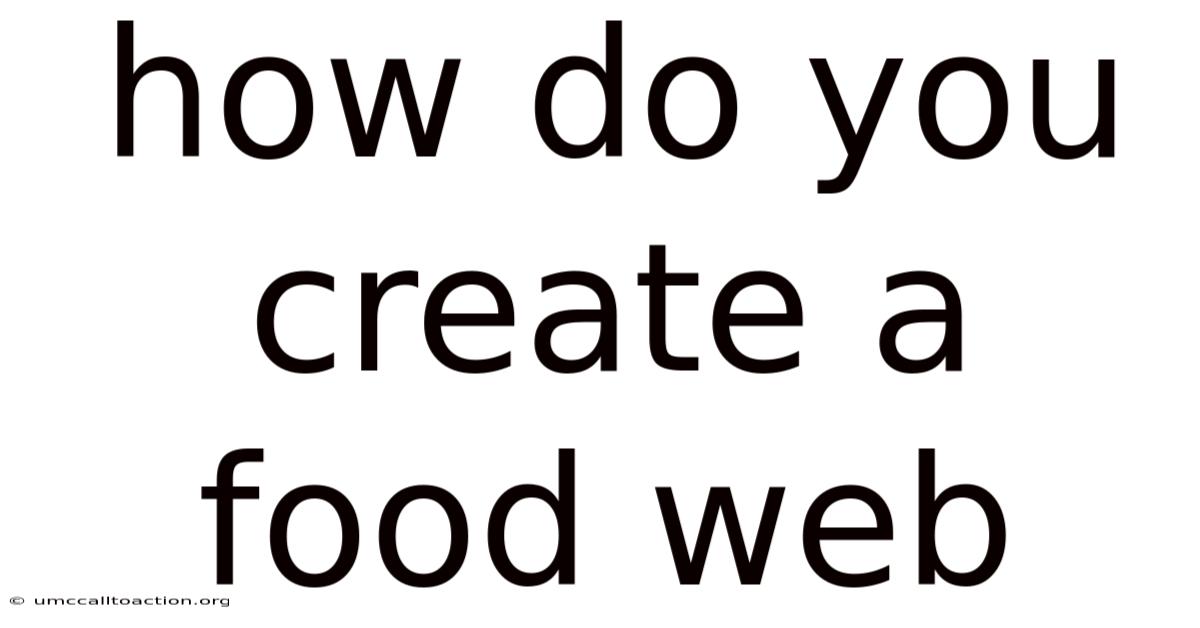 How Do You Create A Food Web