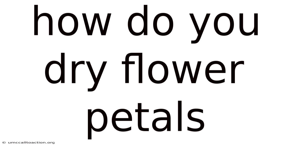 How Do You Dry Flower Petals