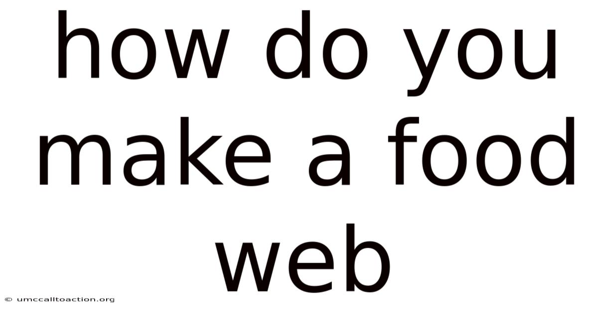 How Do You Make A Food Web