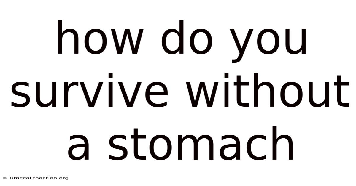 How Do You Survive Without A Stomach