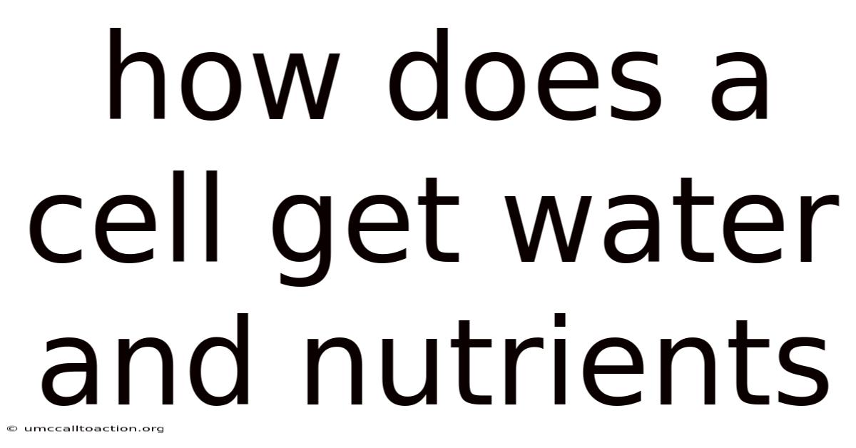 How Does A Cell Get Water And Nutrients