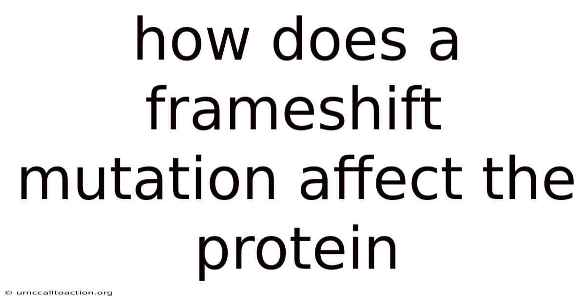 How Does A Frameshift Mutation Affect The Protein