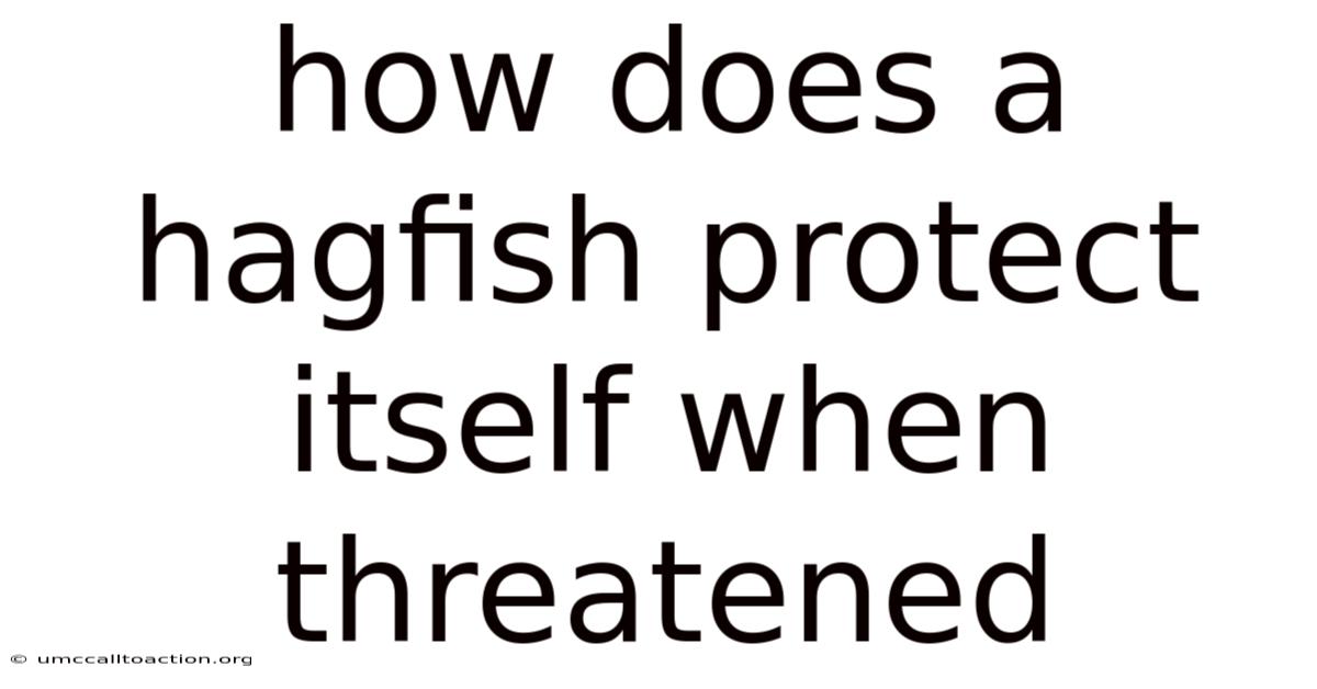 How Does A Hagfish Protect Itself When Threatened
