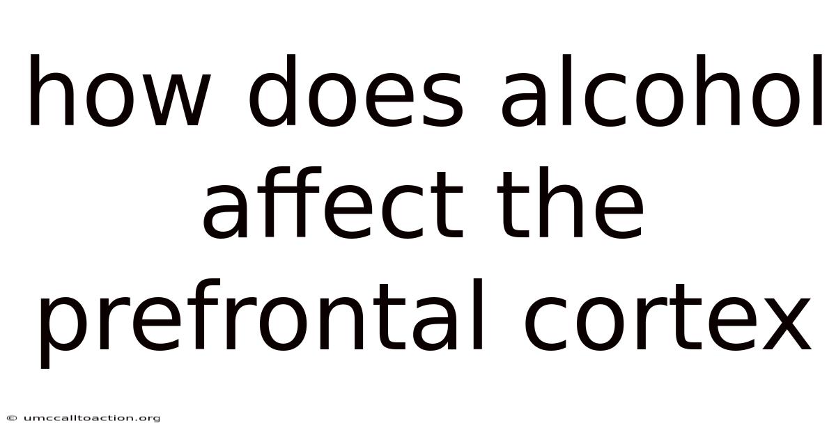 How Does Alcohol Affect The Prefrontal Cortex