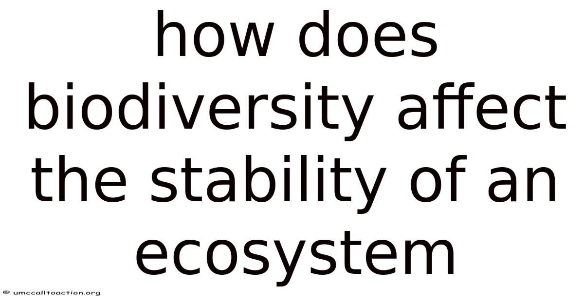 How Does Biodiversity Affect The Stability Of An Ecosystem