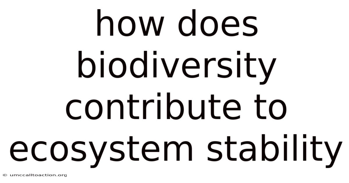 How Does Biodiversity Contribute To Ecosystem Stability