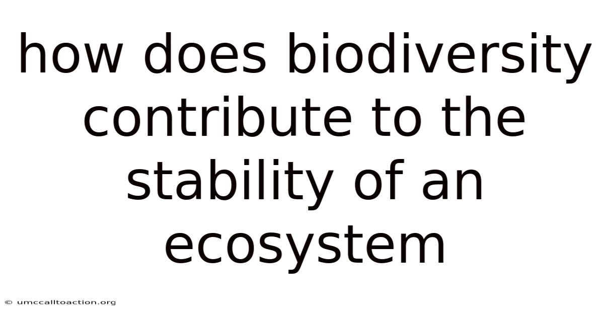 How Does Biodiversity Contribute To The Stability Of An Ecosystem