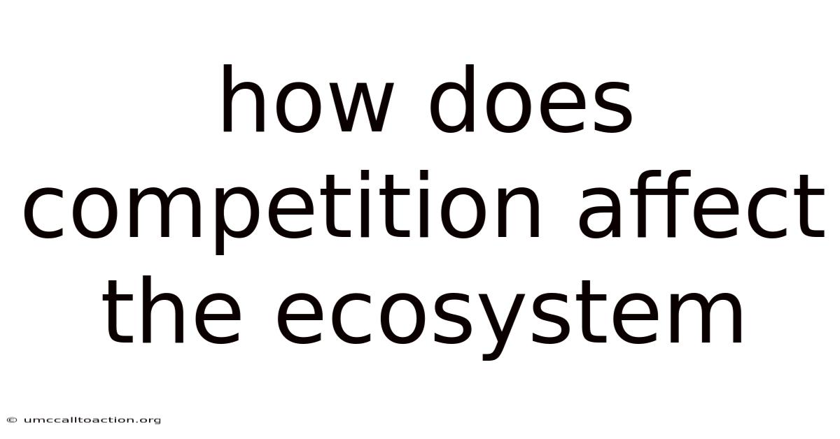 How Does Competition Affect The Ecosystem