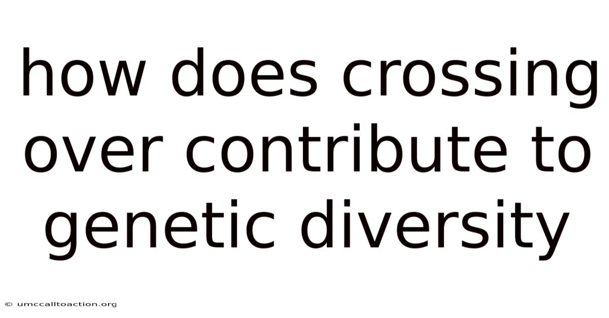 How Does Crossing Over Contribute To Genetic Diversity