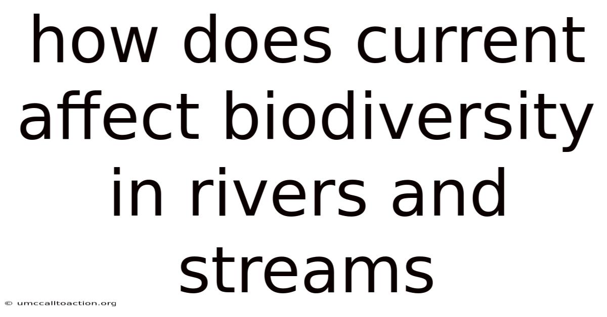 How Does Current Affect Biodiversity In Rivers And Streams