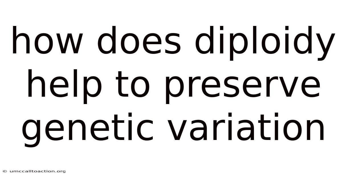 How Does Diploidy Help To Preserve Genetic Variation