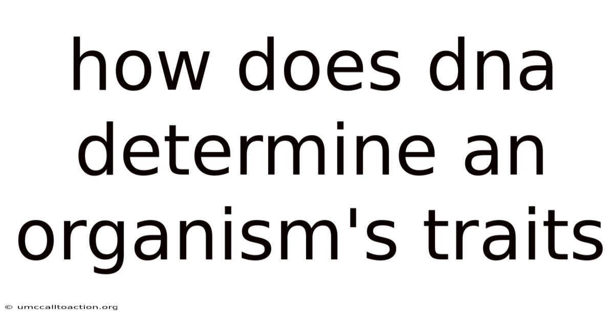 How Does Dna Determine An Organism's Traits