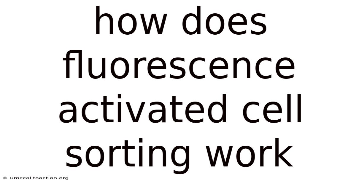 How Does Fluorescence Activated Cell Sorting Work