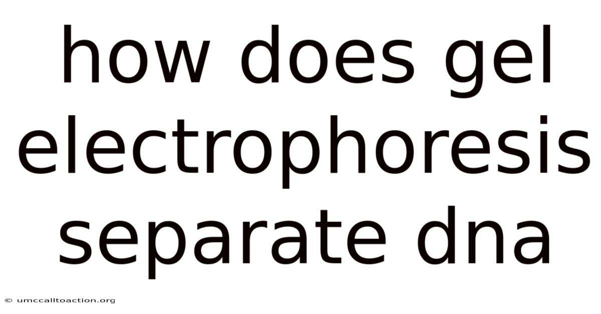 How Does Gel Electrophoresis Separate Dna
