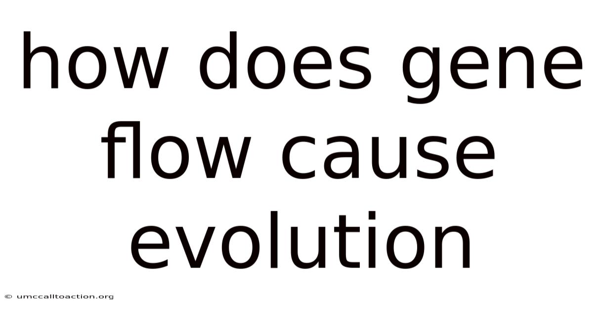How Does Gene Flow Cause Evolution