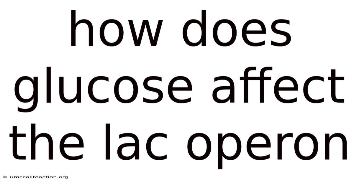 How Does Glucose Affect The Lac Operon