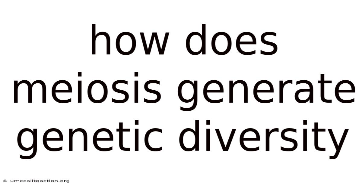 How Does Meiosis Generate Genetic Diversity