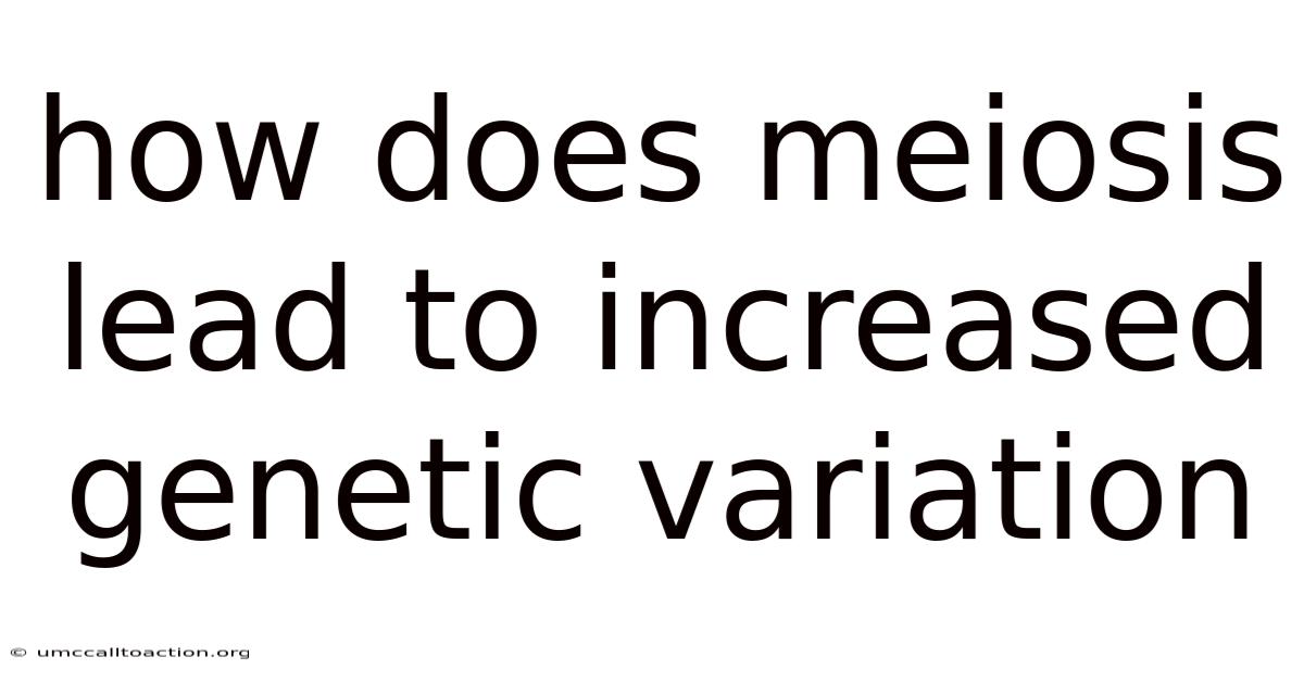 How Does Meiosis Lead To Increased Genetic Variation