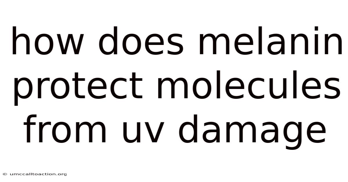 How Does Melanin Protect Molecules From Uv Damage