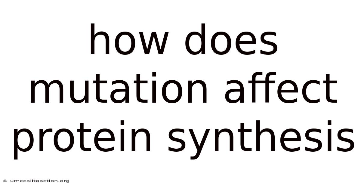 How Does Mutation Affect Protein Synthesis