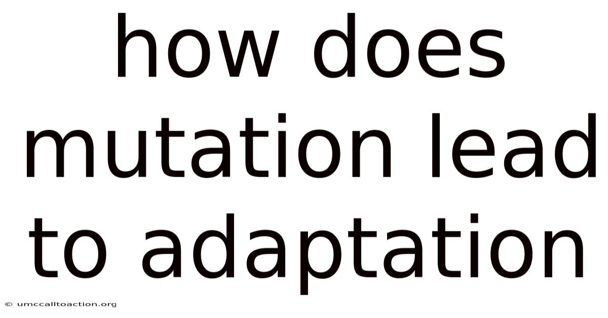 How Does Mutation Lead To Adaptation