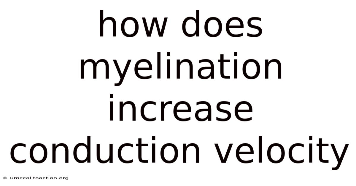 How Does Myelination Increase Conduction Velocity