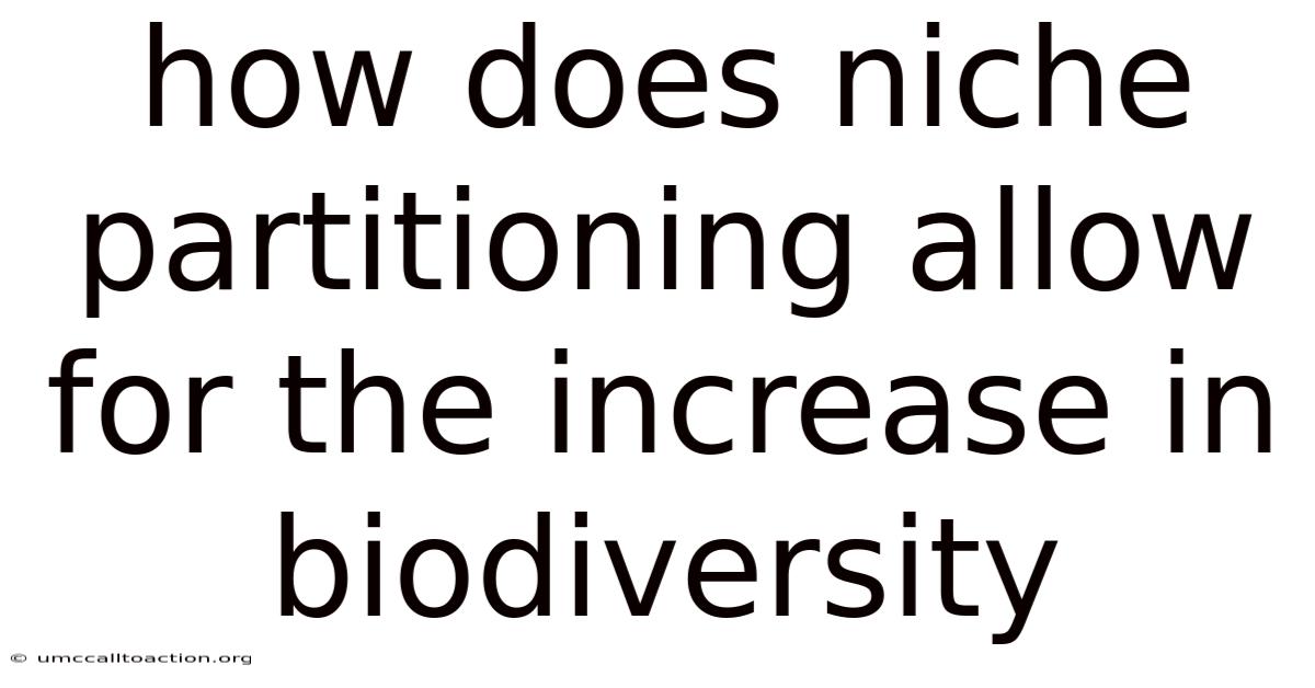 How Does Niche Partitioning Allow For The Increase In Biodiversity