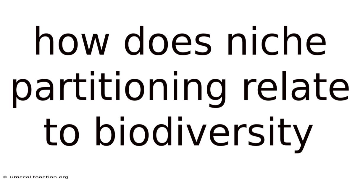 How Does Niche Partitioning Relate To Biodiversity