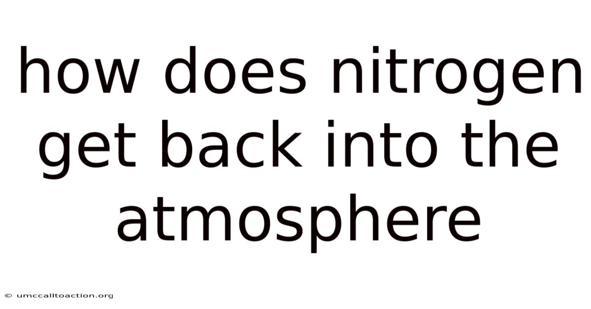 How Does Nitrogen Get Back Into The Atmosphere