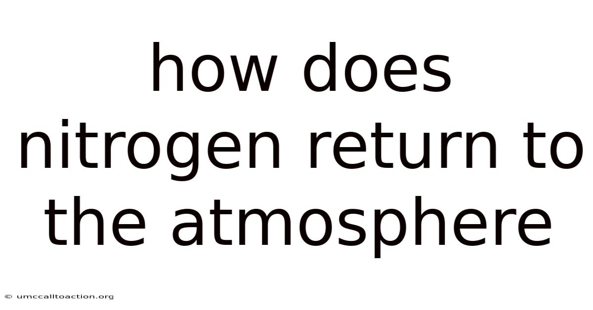 How Does Nitrogen Return To The Atmosphere