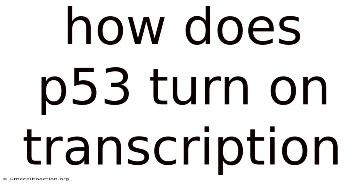 How Does P53 Turn On Transcription