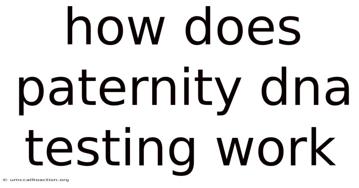 How Does Paternity Dna Testing Work