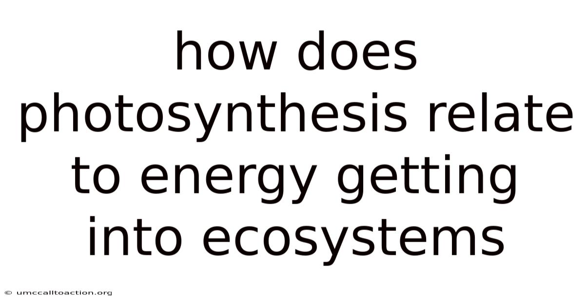 How Does Photosynthesis Relate To Energy Getting Into Ecosystems