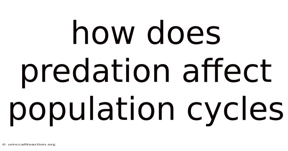How Does Predation Affect Population Cycles