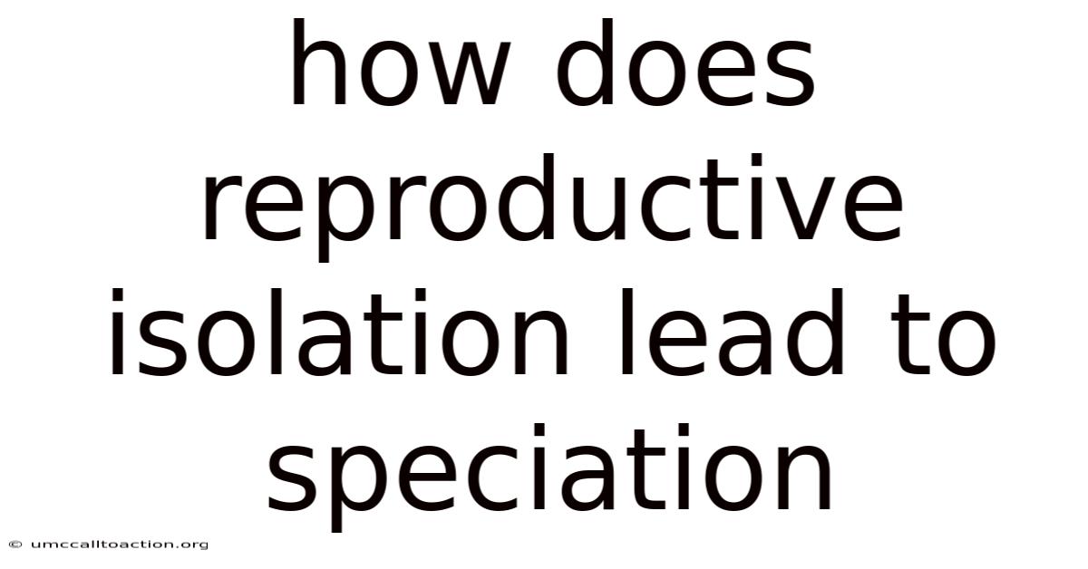 How Does Reproductive Isolation Lead To Speciation