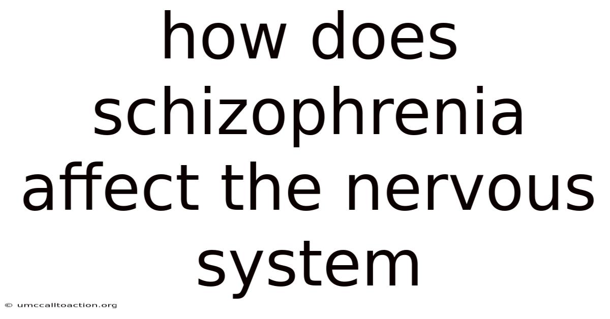 How Does Schizophrenia Affect The Nervous System