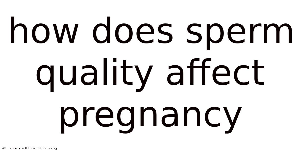 How Does Sperm Quality Affect Pregnancy