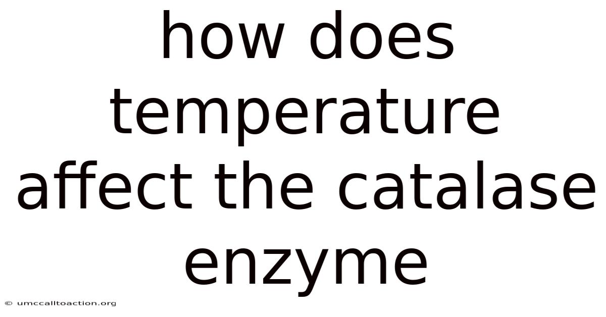 How Does Temperature Affect The Catalase Enzyme