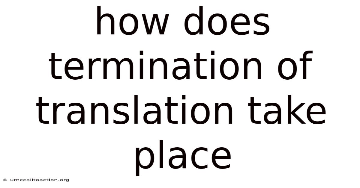 How Does Termination Of Translation Take Place
