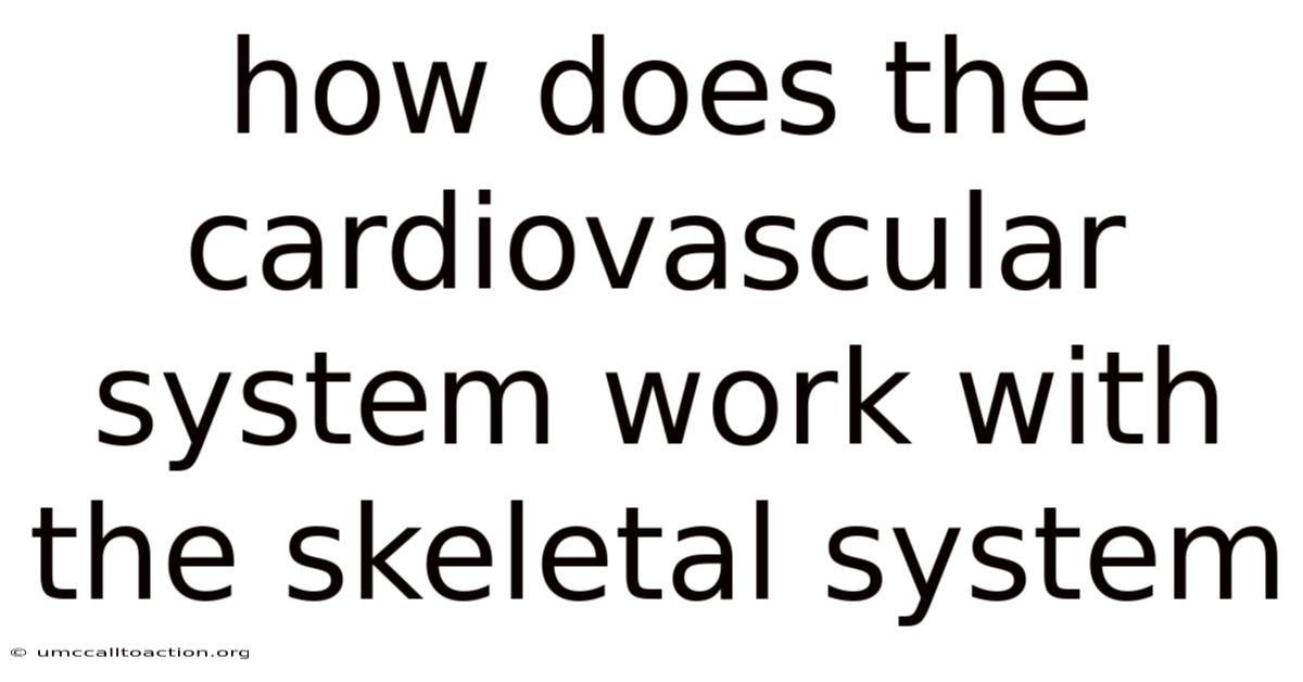 How Does The Cardiovascular System Work With The Skeletal System