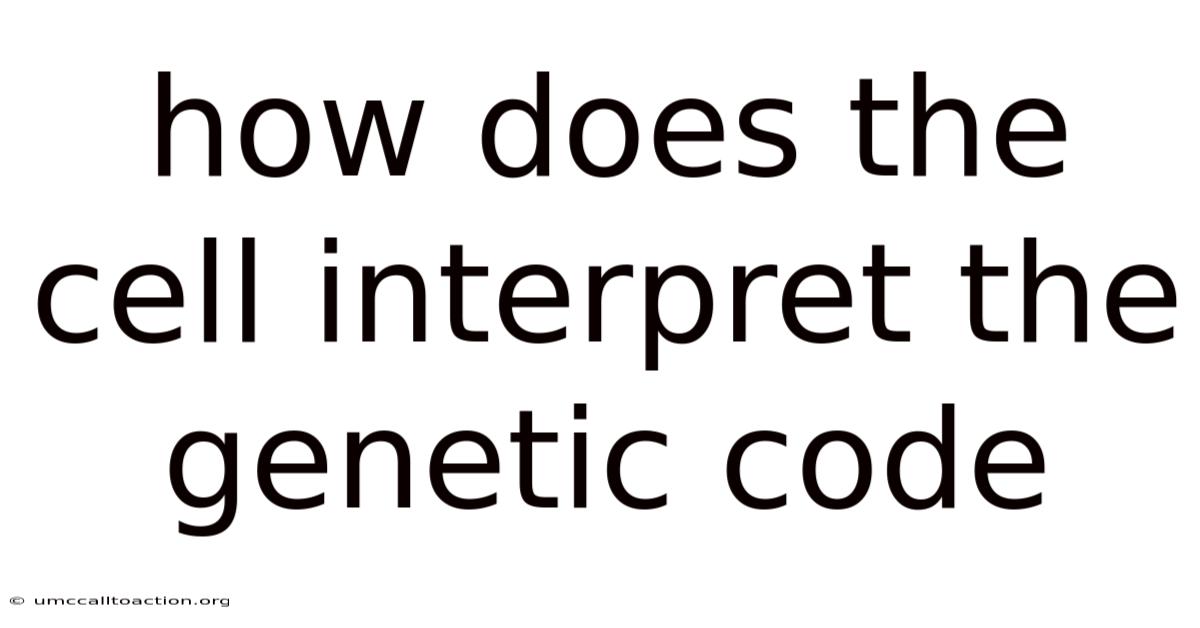 How Does The Cell Interpret The Genetic Code