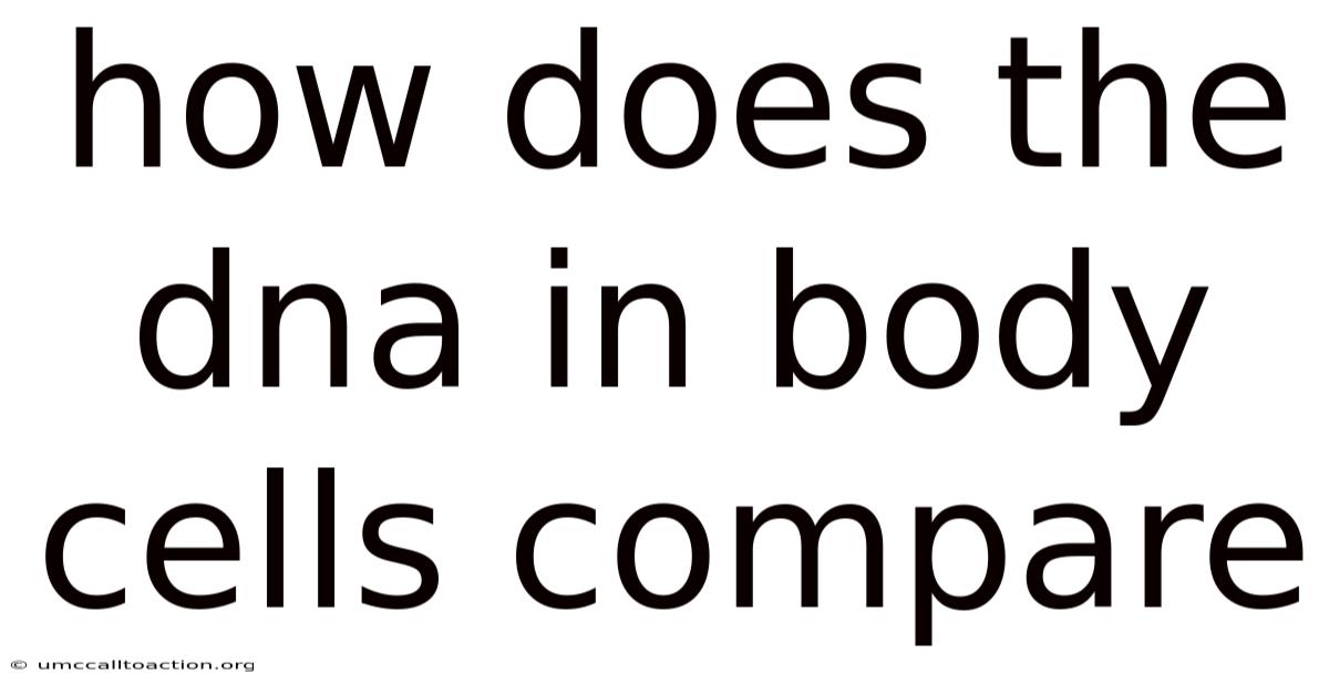 How Does The Dna In Body Cells Compare