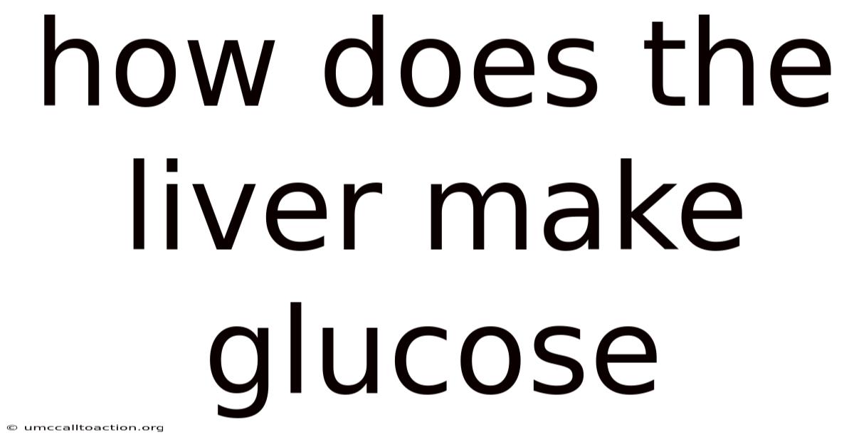How Does The Liver Make Glucose