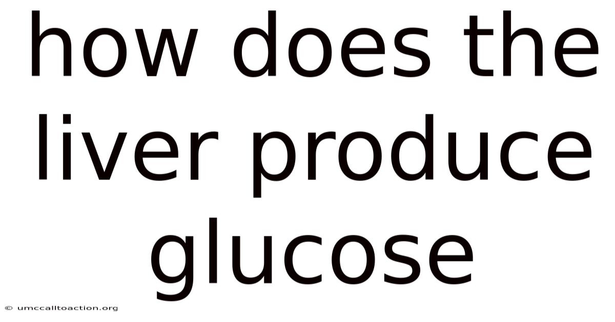 How Does The Liver Produce Glucose