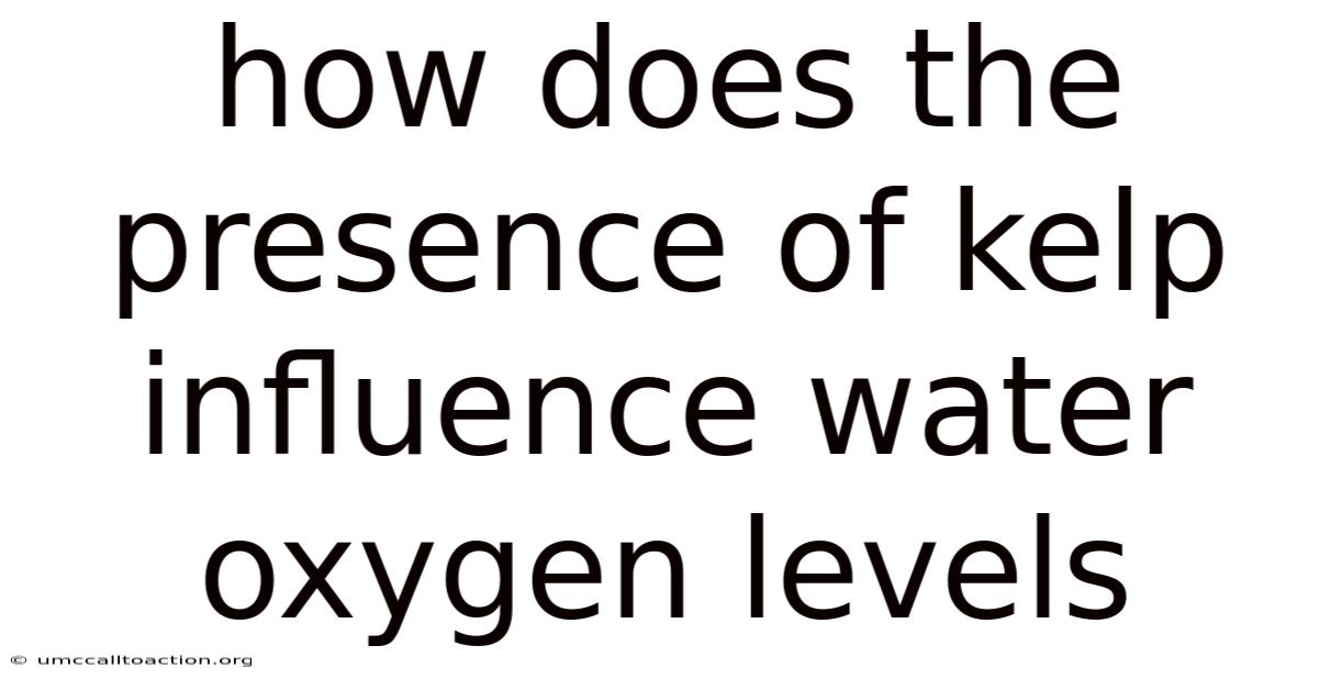 How Does The Presence Of Kelp Influence Water Oxygen Levels