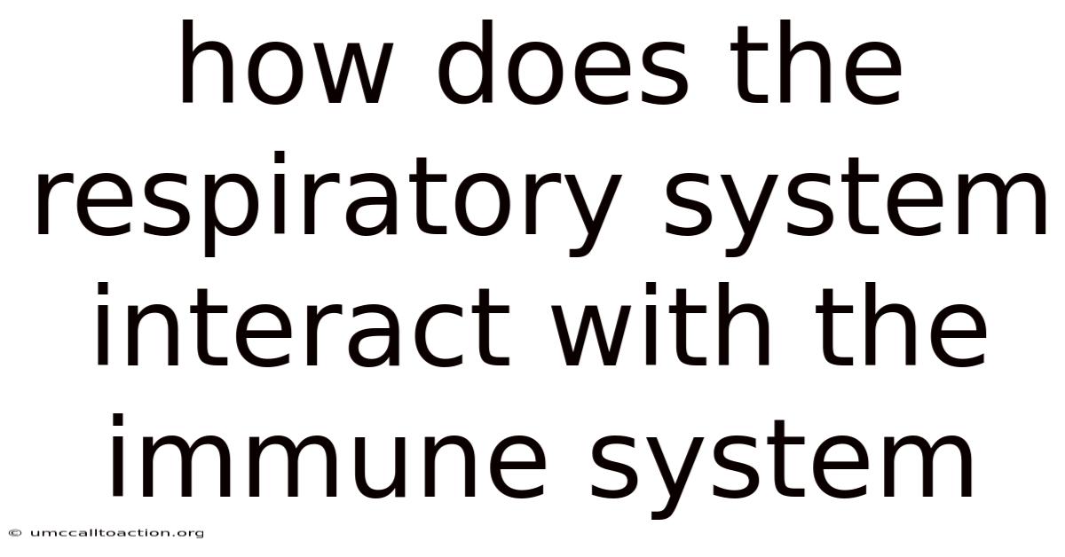 How Does The Respiratory System Interact With The Immune System