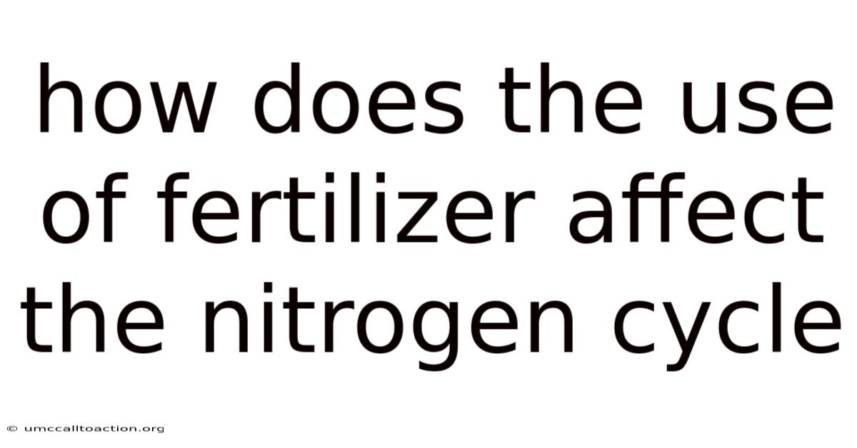 How Does The Use Of Fertilizer Affect The Nitrogen Cycle