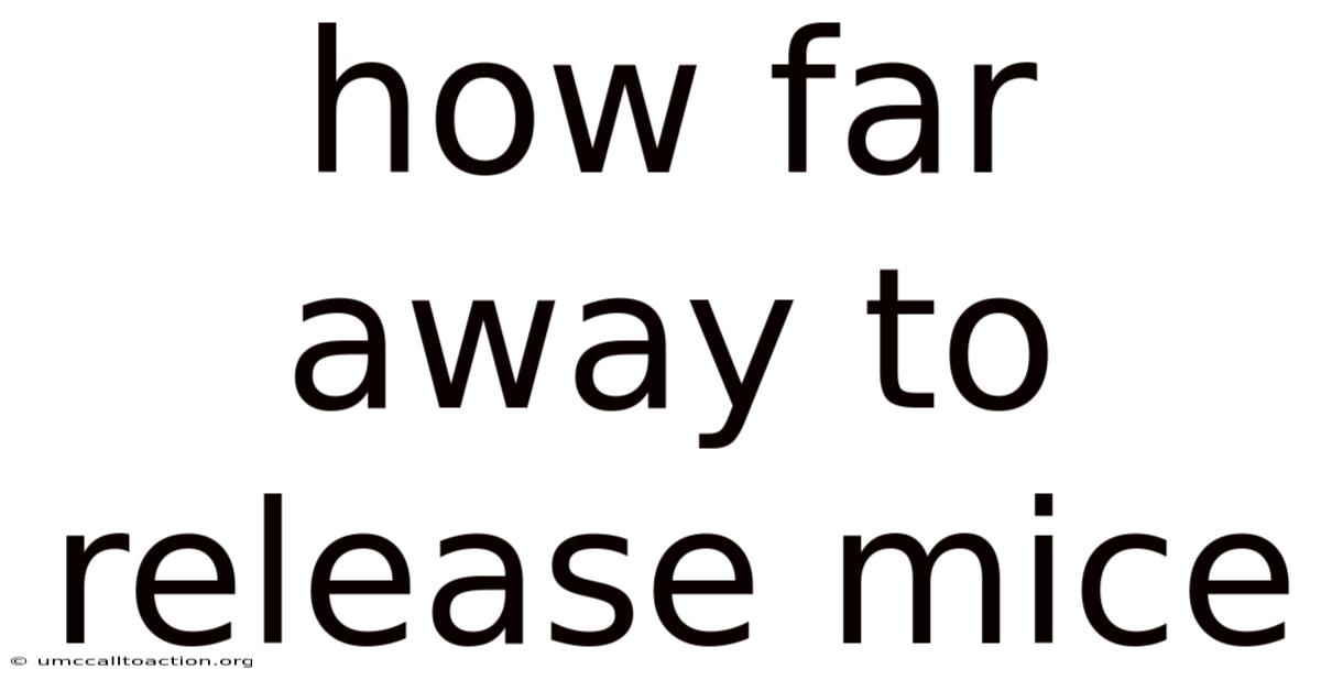 How Far Away To Release Mice
