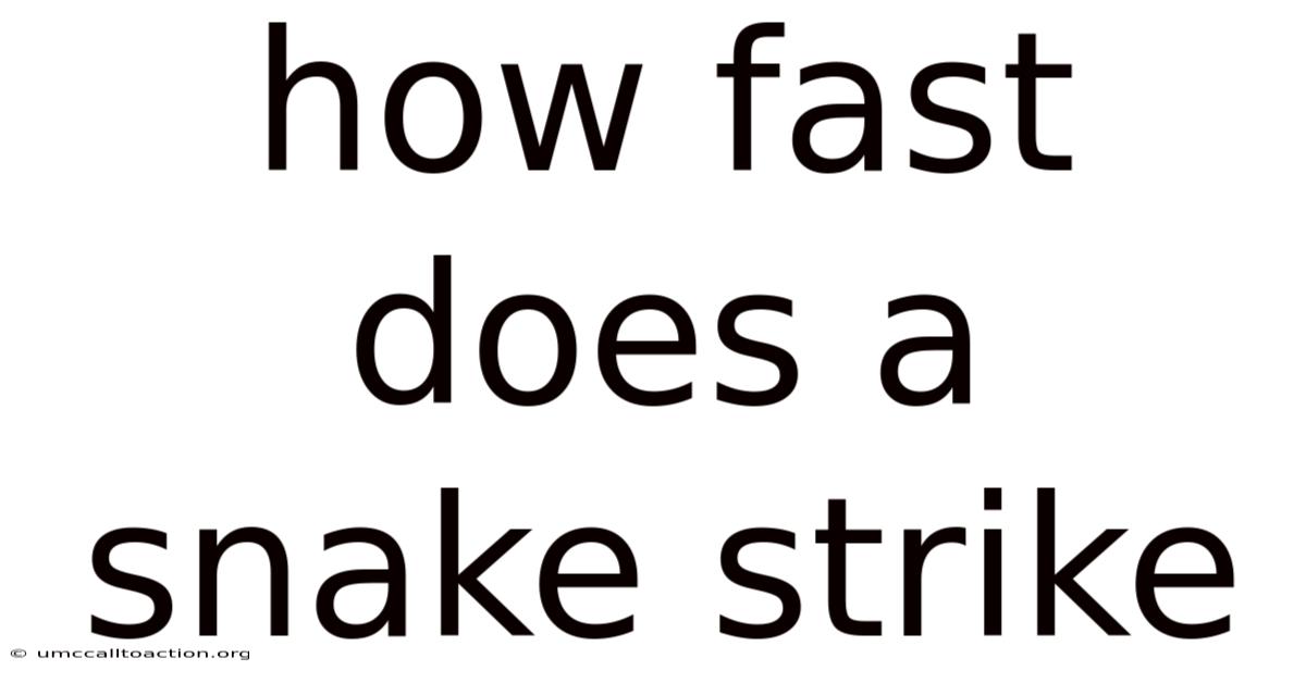 How Fast Does A Snake Strike